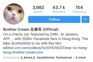 Brother Cream